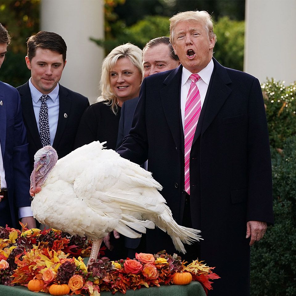 Turkey pardon ceremony at the White House
